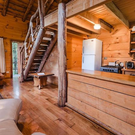 Huilo Huilo Cabanas Del Bosque Puerto Fuy Luaran gambar