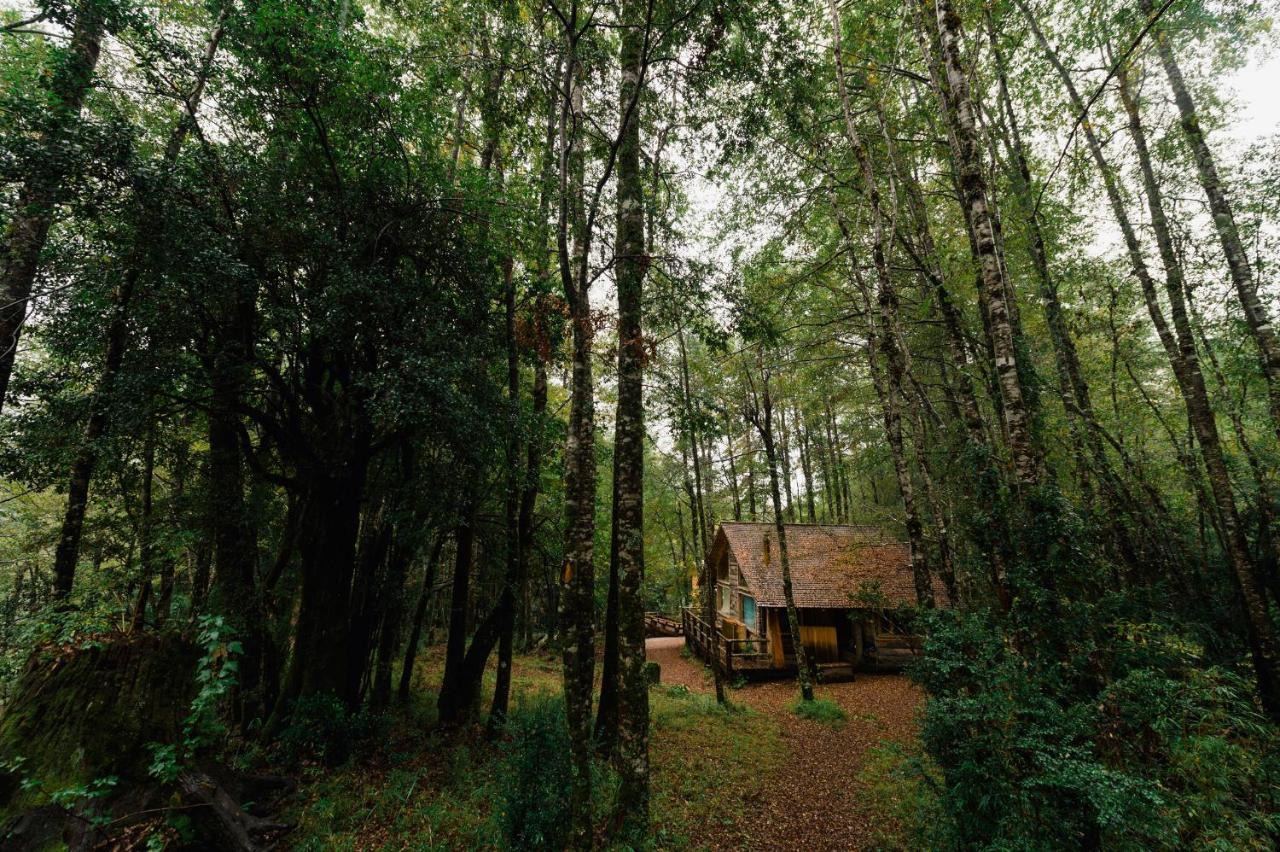 Huilo Huilo Cabanas Del Bosque Puerto Fuy Bilik gambar