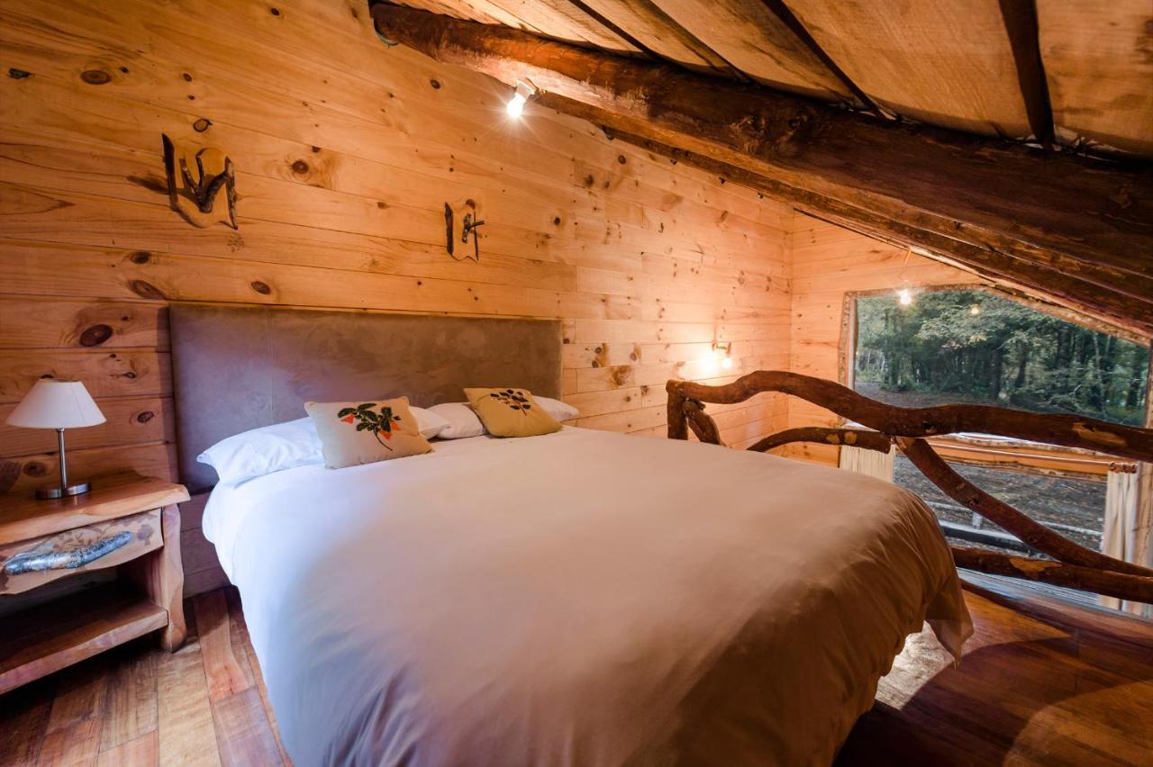 Huilo Huilo Cabanas Del Bosque Puerto Fuy Bilik gambar